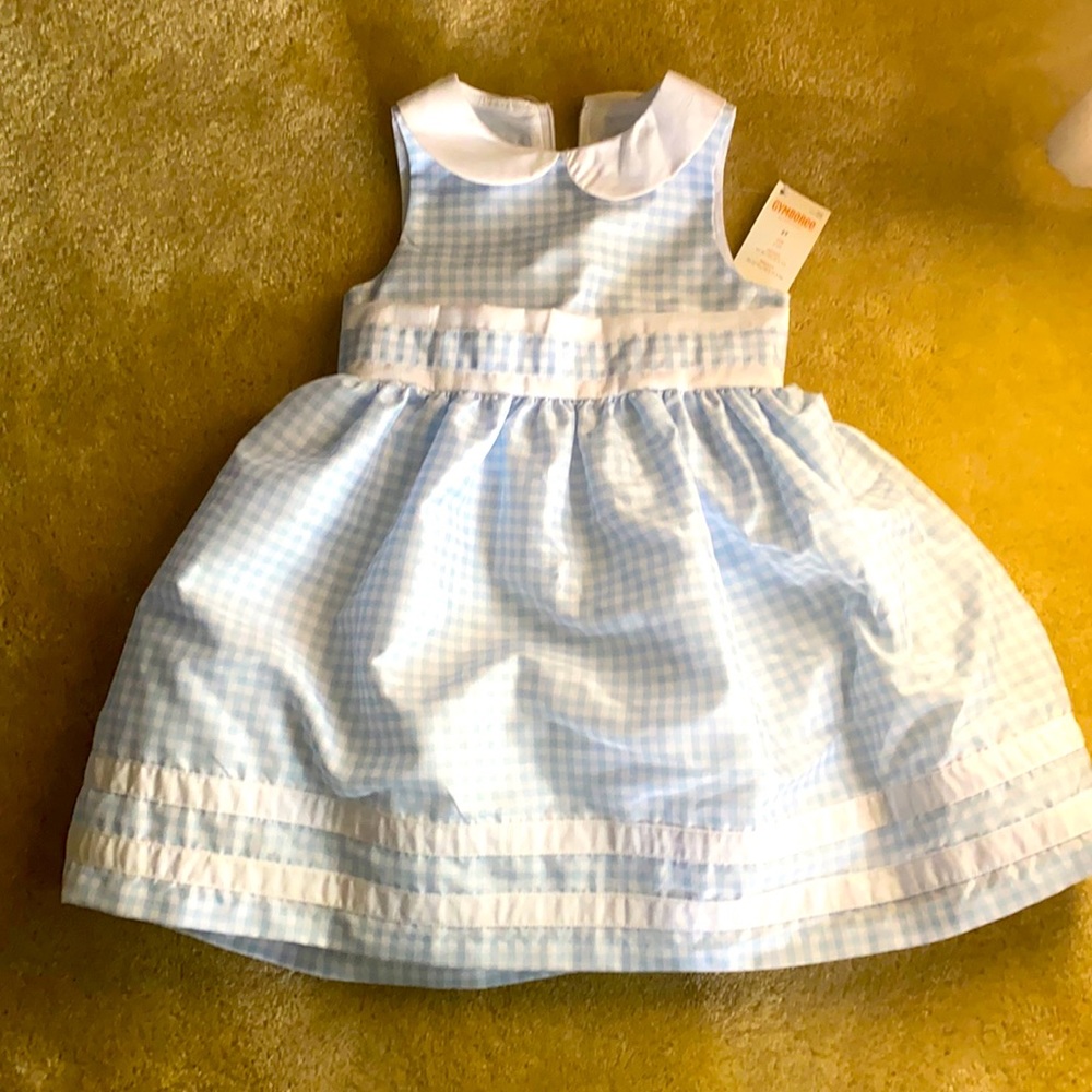 Gymboree Toddler Blue Gingham Dress